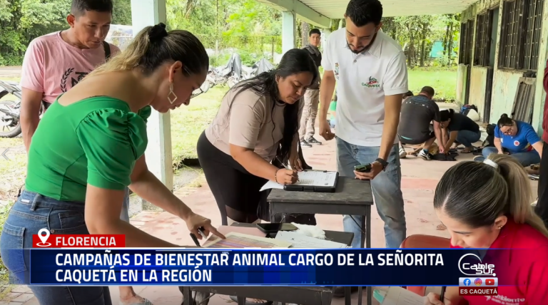 La Señorita Caquetá, Danna Michel Borraes, informó que se mantienen activas las jornadas de esterilización en los diferentes municipios del departamento