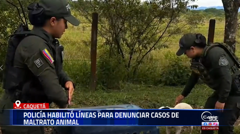En desarrollo de la campaña “Seguros, Cercanos y Presentes”, la Policía Nacional en Caquetá puso en marcha canales de atención para la comunidad con el fin de fortalecer la protección y el cuidado de los animales.