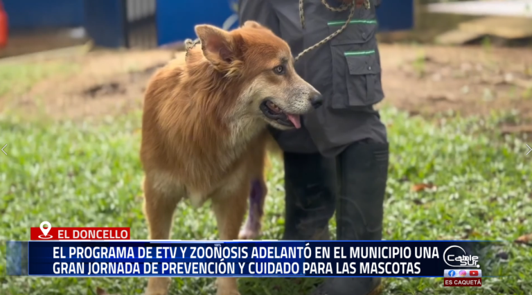 Prevención y cuidado para las mascotas y comunidad de El Doncello.