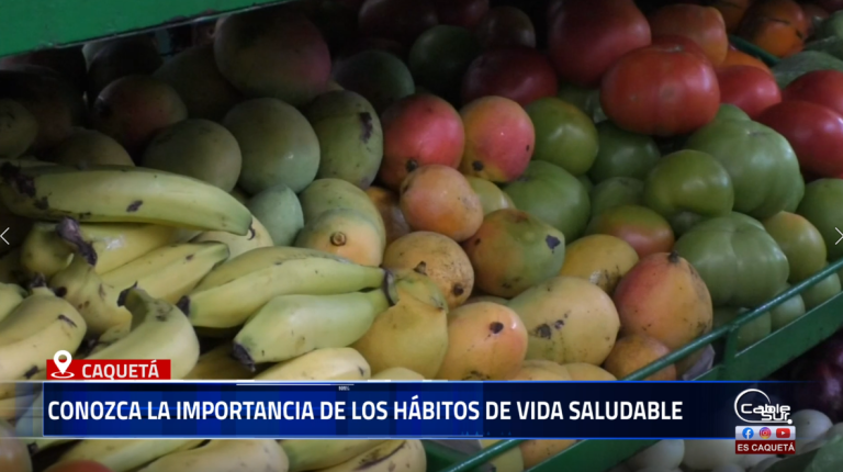 La Secretaría de Salud Departamental realizó una jornada pedagógica para promover los hábitos de vida saludable como eje fundamental en la prevención de enfermedades y el bienestar de la comunidad.