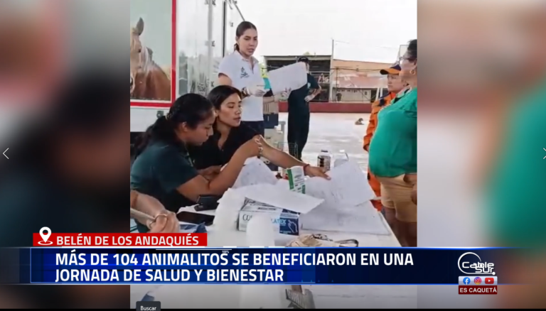 Con gran acogida se desarrolló en Belén de los Andaquíes la Jornada de Salud y Bienestar Animal, una iniciativa posible gracias al trabajo articulado entre la Alcaldía Municipal, la Gobernación del Caquetá y la Universidad de la Amazonia, con el apoyo del Politécnico Sur Colombiano y la Defensa Civil.