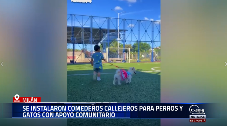 El municipio de Milán llevó a cabo una jornada comunitaria orientada a la protección de los animales en condición de calle, en la que se instalaron comederos elaborados con material reciclado.