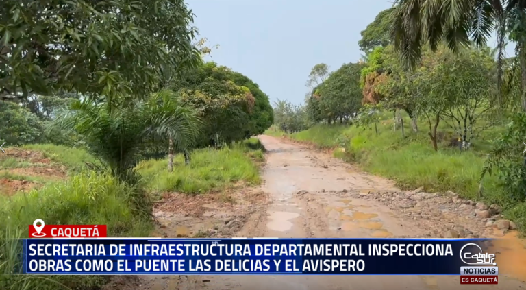La secretaria de Infraestructura Departamental, Carolina Tamayo, realizó una inspección técnica a las obras que se adelantan en puntos estratégicos del Caquetá, entre ellas el puente Las Delicias y el puente El Avispero, proyectos que son ejecutados por el Instituto Nacional de Vías (INVIAS).