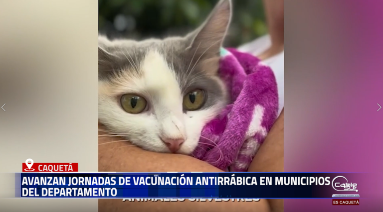 La Secretaría de Salud Departamental adelanta jornadas gratuitas de vacunación para perros y gatos en los municipios del Caquetá, con el fin de prevenir la rabia y proteger la salud pública.