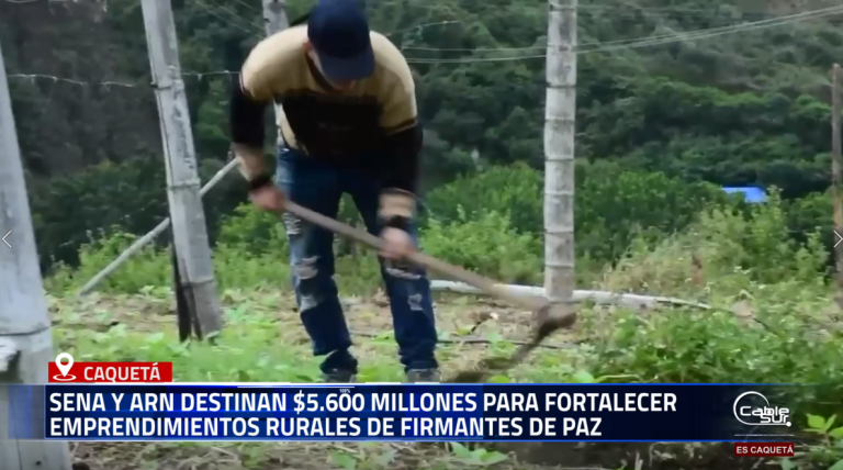 Con una inversión conjunta de $5.600 millones, el SENA y la Agencia para la Reincorporación y la Normalización (ARN) anunciaron el fortalecimiento de 110 proyectos rurales liderados por firmantes del Acuerdo de Paz.