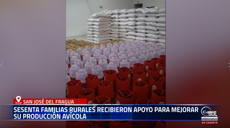 La Administración Municipal de San José del Fragua continúa desarrollando acciones orientadas al fortalecimiento del campo y la soberanía alimentaria, beneficiando a decenas de familias rurales con proyectos productivos que promueven el desarrollo sostenible.