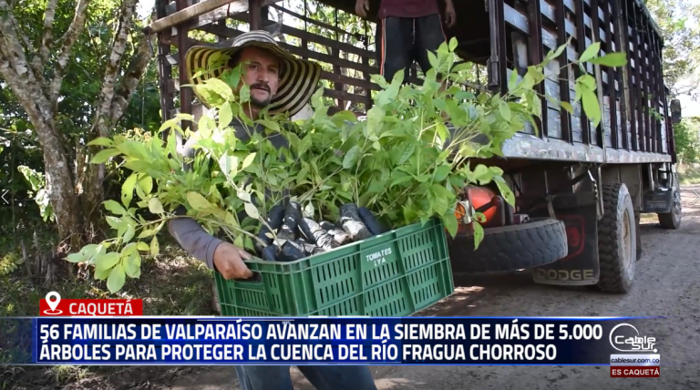 En un esfuerzo conjunto entre la comunidad y las autoridades ambientales, avanza la estrategia de restauración ecológica en Valparaíso, orientada a recuperar la cobertura vegetal y fortalecer los ecosistemas estratégicos del municipio.