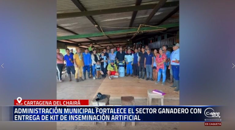 La Administración Municipal de cartagena del chaira, a través de la Unidad de Gestión Agropecuaria y Ambiental, entregó un kit de inseminación artificial a productores de la vereda Arrayanes, con el propósito de fortalecer la producción ganadera y mejorar la calidad genética del hato bovino.