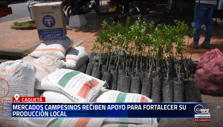 En una apuesta por impulsar la economía familiar, rural, étnica, campesina y comunitaria, diez asociaciones de mercados campesinos de nueve municipios del Caquetá recibieron insumos agrícolas, material vegetal y elementos, a través de la Secretaría Ambiental y de Agricultura Departamental de la Gobernación del Caquetá.