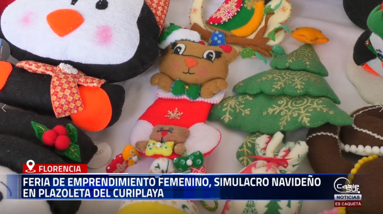 La Plazoleta del Curiplaya fue el escenario donde mujeres emprendedoras demostraron su gran capacidad de producción, ofreciendo al público una variada oferta que incluye accesorios, artículos y también productos alusivos a la temporada navideña.